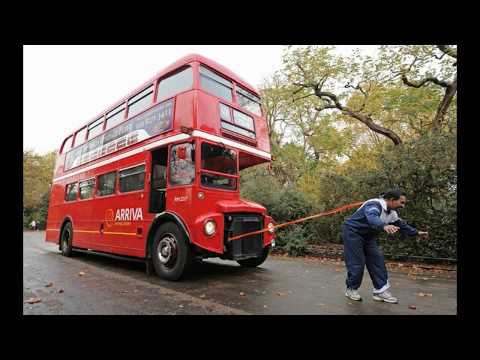 Видео: Ложь верхом на лошадях !