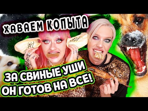 Видео: ЗАСТАВЛЯЮ ЕГОРА АНДРЮШИНА хавать СОБАЧЬИ ЛАКОМСТВА. Ему понравилось! конкурс !