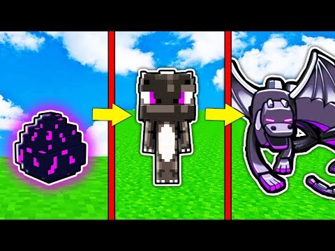 Видео: КАК МЕНЯЛСЯ ЭНДЕР ДРАКОН МОБ И ЕГО ЖИЗНЕННЫЙ ЦИКЛ В МАЙНКРАФТ ! ЭВОЛЮЦИЯ И ТРОЛЛИНГ