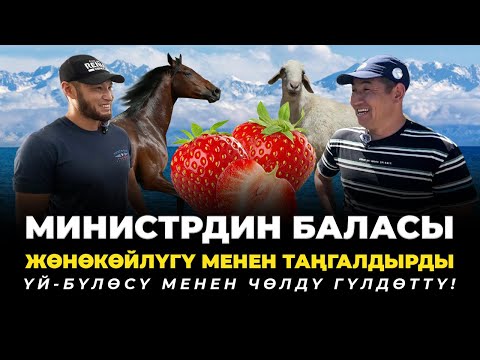 Видео: Ысык-Көлдөгү "РЕЙНА КЕНЧ" чарбасына барып келдим!