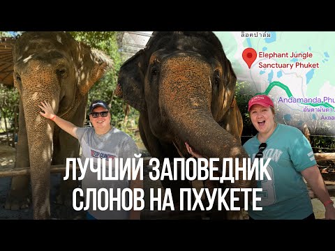 Видео: Лучший заповедник слонов на Пхукете — наш день в Elephant Jungle Sanctuary