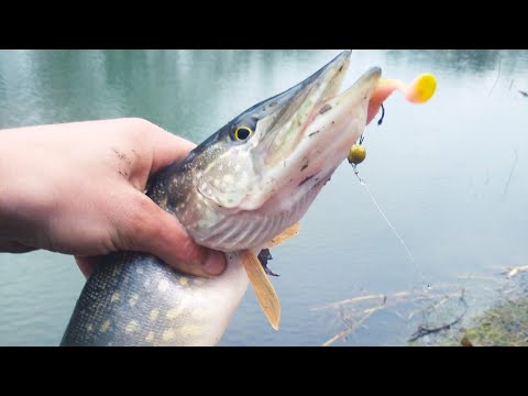 Видео: ЗИМНИЙ СПИНИНГ!МИКРОДЖИГ НА МАЛОЙ РЕЧКЕ!