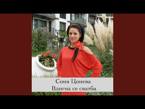 Видео: Засвирили ми дор три ми гайди