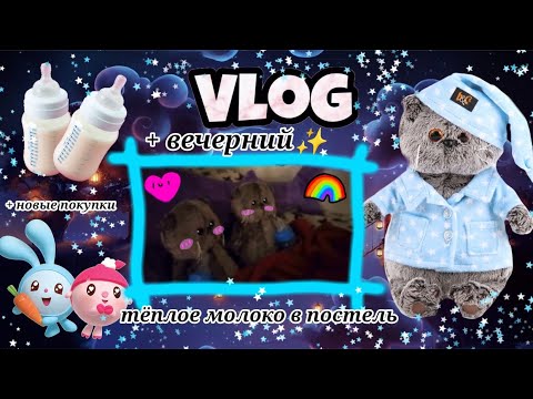 Видео: Вечерний влог С БАСИКАМИ🐈🌝+Новые ПОКУПОЧКИ 🌚🛒