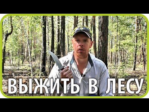 Видео: Что делать, если заблудился в лесу? 10 золотых правил. Советы детям и их родителям. Азбука выживаниЯ