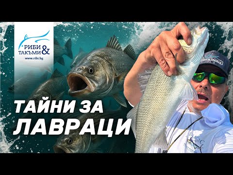 Видео: Строго пазени ТАЙНИ за богородични ЛАВРАЦИ... - 1 част