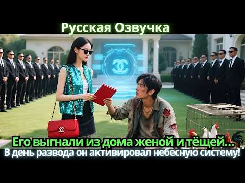 Видео: Его выгнали из дома женой и тёщей… В день развода он активировал небесную систему!