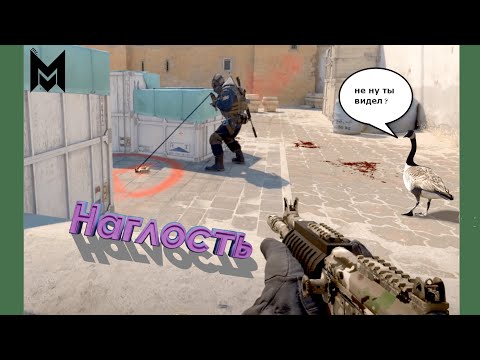 Видео: CS2 Н - наглость #csgo #cs2 #counterstrike