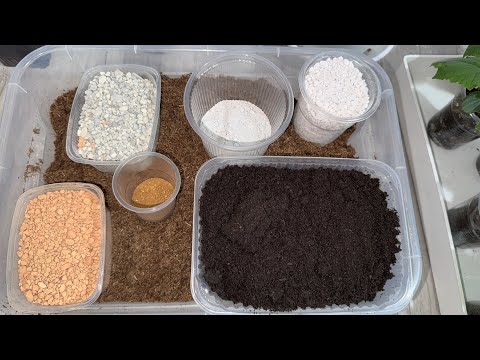 Видео: РАССАДА ТОЛСТЕЕТ НА ГЛАЗАХ от ТАКОГО ГРУНТА! ЛУЧШИЙ ГРУНТ для рассады БЕЗ БОЛЕЗНЕЙ и ВРЕДИТЕЛЕЙ