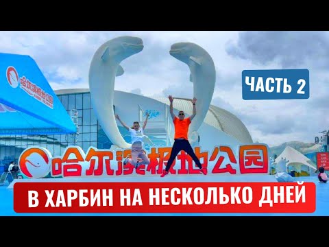 Видео: В Харбин на несколько дней. ч.2. Экскурсия за 30 юаней, Парк Сталина, Парк Чжаолин, Барокко
