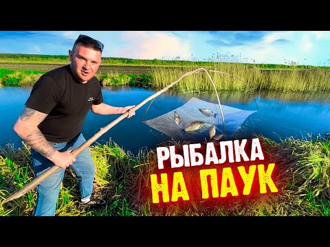 Видео: ЛОВЛЮ РЫБУ НА ПАУК! РЫБАЛКА!
