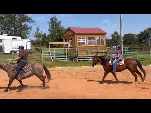 Видео: ПОСЛЕДНЯЯ ВЫЕЗДКА ПЕРЕД КОННЫМ ВЫСТАВКОЙ