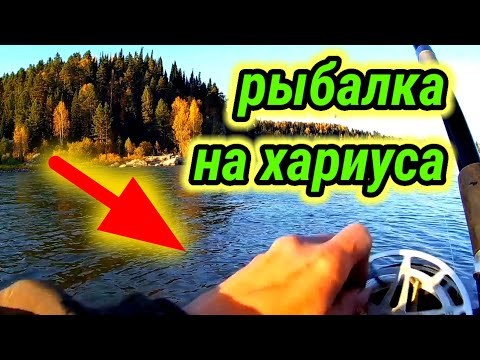 Видео: Ловля хариуса 👆  на удочку. Осенняя рыбалка НАЧАЛАСЬ 👆