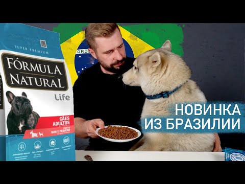 Видео: Сухой корм из Бразилии Formula Natural Life с курицей для маленьких собак / Обзор корма