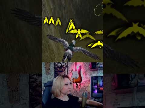 Видео: Пилот Клювокрыла #ГарриПоттериузниказкабана #ГарриПоттер #прохождение #DarinWood