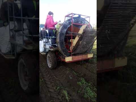 Видео: Картофелеуборочный комбайн, Большой Бор