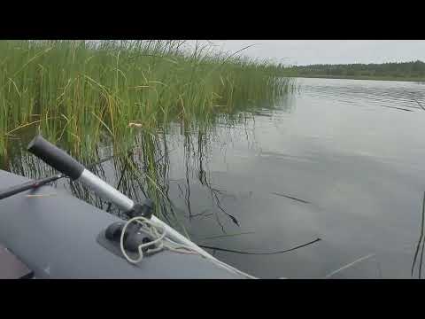 Видео: Рыбалка на водохранилище левки