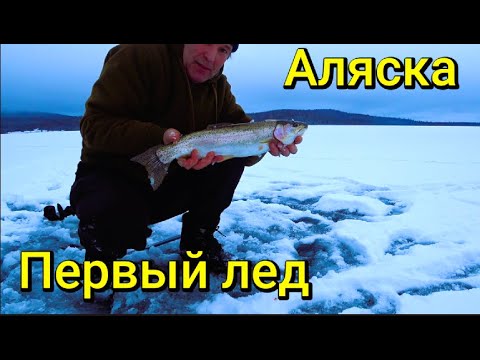 Видео: Аляска.Первый лед.Форелевая рыбалка.