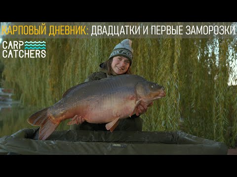Видео: Секреты рыбалки на карпа: холодная вода. Тактика прикармливания, оснастка, выбор водоема осенью