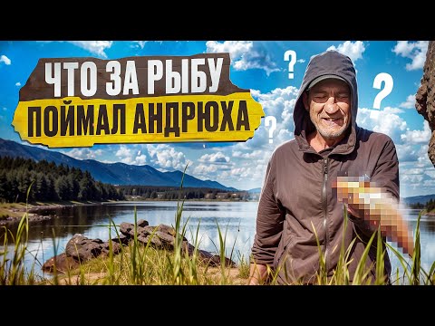 Видео: АНДРЮХА УЧИТСЯ ЛОВИТЬ РЫБУ / РЫБАЛКА НА ПЛАТНИКЕ / ПОЙМАЛ КАРПА КОИ!!!!!!