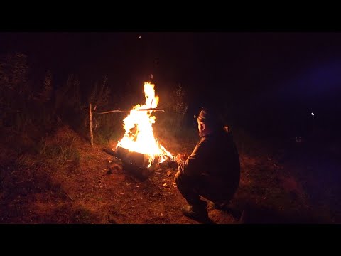 Видео: ПОКЛЁВКИ ПАРОВОЗ, ТАКОЕ У МЕНЯ В ПЕРВЫЕ! ФИДЕР ПРОТИВ ДОНОК \  ЖЕЛАННЫЙ ТРОФЕЙ, РЫБАЛКА С НОЧЁВКОЙ!
