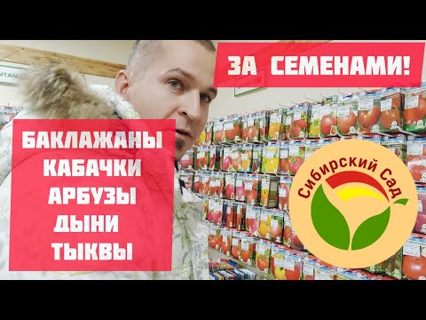 Видео: Покупаю по советам продавца семена баклажанов, арбузов, дынь, тыкв, кабачков и огурцов.
