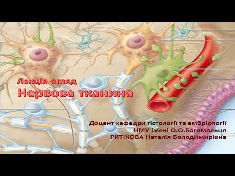 Видео: Лекція-огляд : Нервова тканина