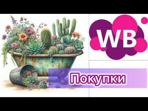 Видео: Распаковка. Покупки с WB. Уличные суккуленты и не только.