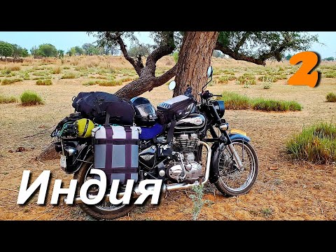 Видео: Как местные спасали меня от тигров, неудачная ночёвка в Индийском буше.