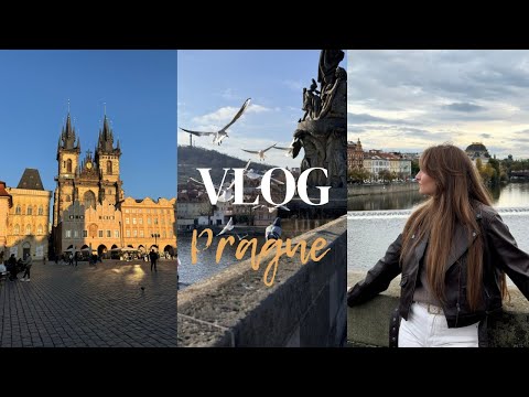 Видео: ВЛОГ: Прага, пришлось вернуться раньше, мои travel аксессуары ￼