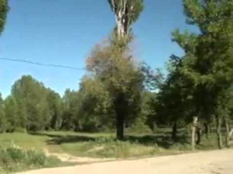 Видео: Менин айылым Аманбаево , Ренат Каукаев