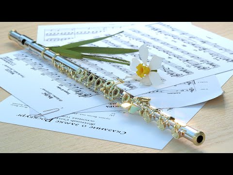 Видео: Флейта и оркестр.  Музыка Сергея Чекалина. Flute and Orchestra. Music by Sergei Chekalin.