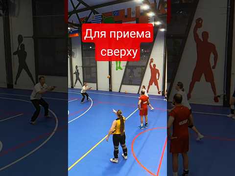 Видео: Упражнение для приема сверху от Павла Геннадьевича ,9 кэмп❗✅#volleyball #волейбол #haikyuu