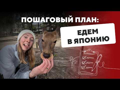 Видео: ЯПОНИЯ 2025. Как организовать путешествие самостоятельно. Маршрут, отели, еда, виза, транспорт