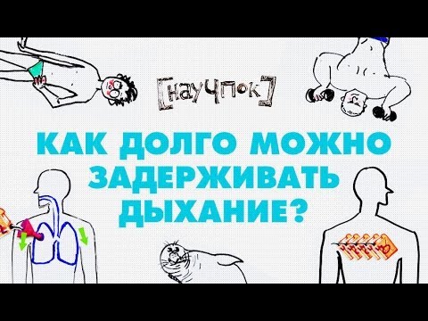 Видео: Научпок - Как долго можно задерживать дыхание?