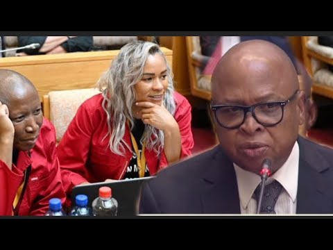 Видео: ЭФФ Матис против депутата министра Матале: «Вопрос Брауна Могоци был поднят с министром Мчуну».