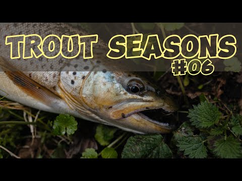 Видео: Trout Seasons #06 - Рыбалка на дикую форель в апреле.