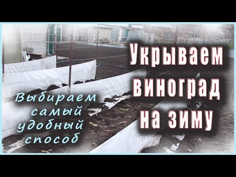 Видео: Укрытие винограда на зиму, выбираем самый удобный способ.