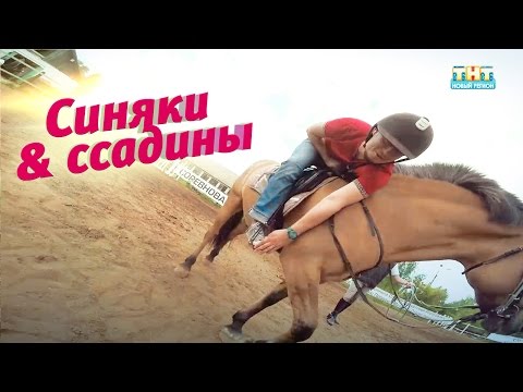 Видео: Синяки и ссадины. Конный спорт