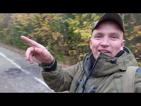 Видео: 2 октября 2025 г.