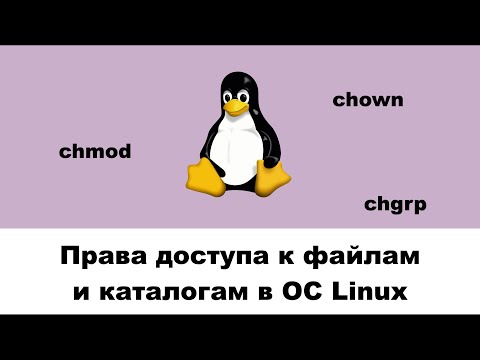 Видео: Права доступа к файлам и каталогам в ОС Linux (минилекция)