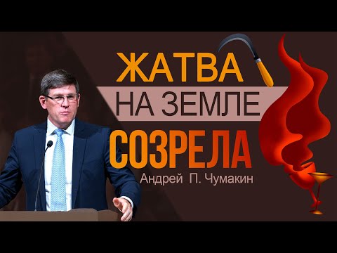 Видео: Жатва на земле созрела 👤 Андрей  П. Чумакин  📖 Отк. 14:14-20 #AndreyChumakin