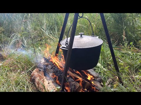 Видео: Открытие охоты на утку 2025