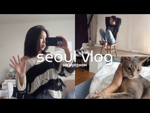 Видео: SEOUL VLOG | лечу домой, моя кошка, студия в Сеуле, фотосессия