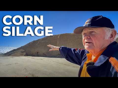 Видео: 3600 КОРОВ ПРОИЗВОДЯТ 359 000 ФУНТОВ МОЛОКА В ДЕНЬ - STONE RIDGE DAIRY, США 🇺🇸