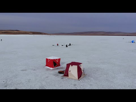 Видео: ТОЧКА КИШИТ РЫБОЙ | УДАЧНО ЗАКРЫЛИ СЕЗОН