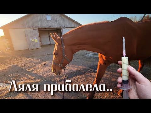 Видео: Мини влог: у Ляли инфекция в ноге.