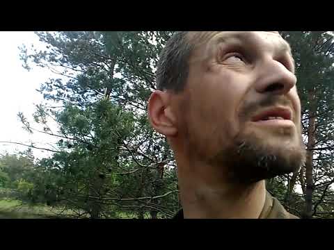 Видео: Сталк по заброшеной ваякской свалке. Платы с РЭК.