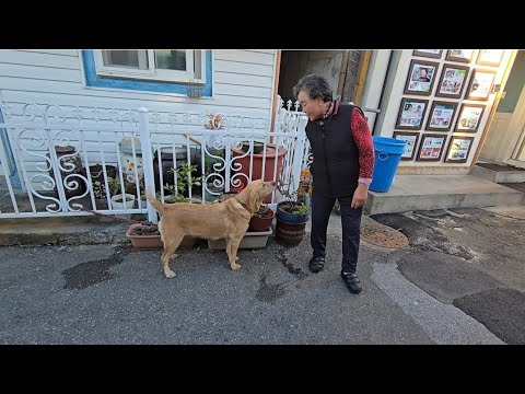 Видео: БЕЖЕНЦЫ ИЗ СЕВЕРНОЙ КОРЕИ|ЖИЛЬЕ И БЫТ 1ЧАСТЬ