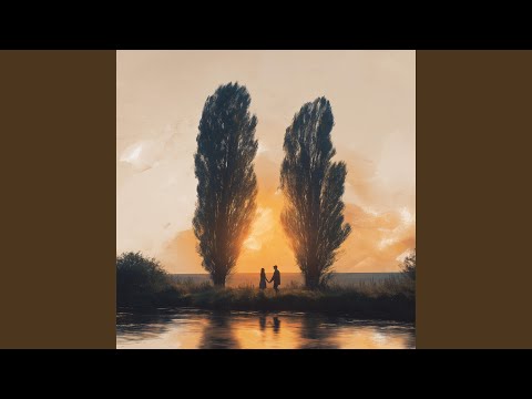 Видео: Там, де тополі